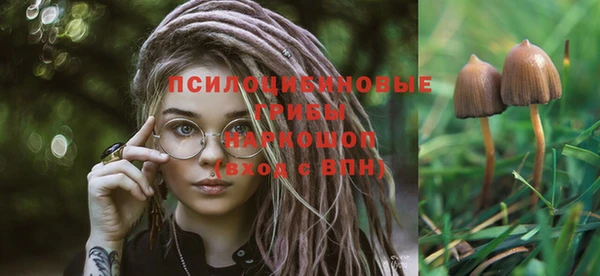 гидропоника Лагань