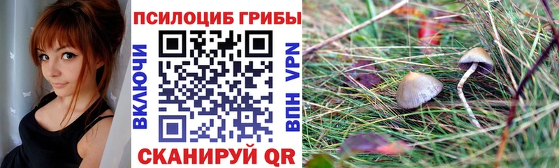 Галлюциногенные грибы Psilocybine cubensis  ссылка на мегу   маркетплейс телеграм  купить наркоту  Геленджик 