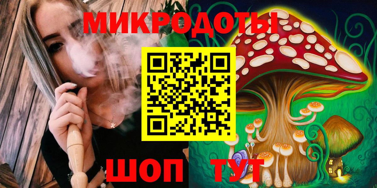 Галлюциногенные грибы Cubensis Геленджик
