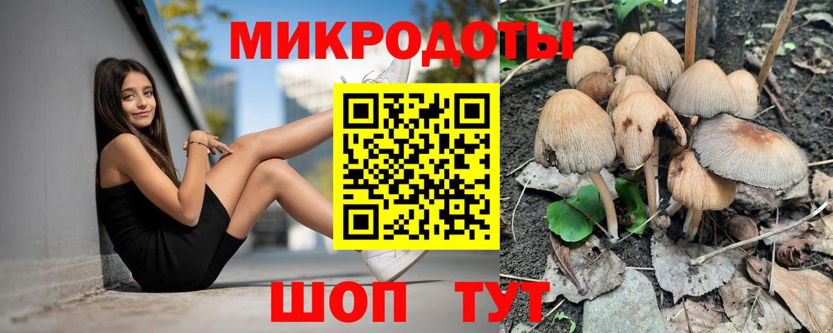 Галлюциногенные грибы MAGIC MUSHROOMS  Вход с VPN  где купить наркоту  Геленджик 